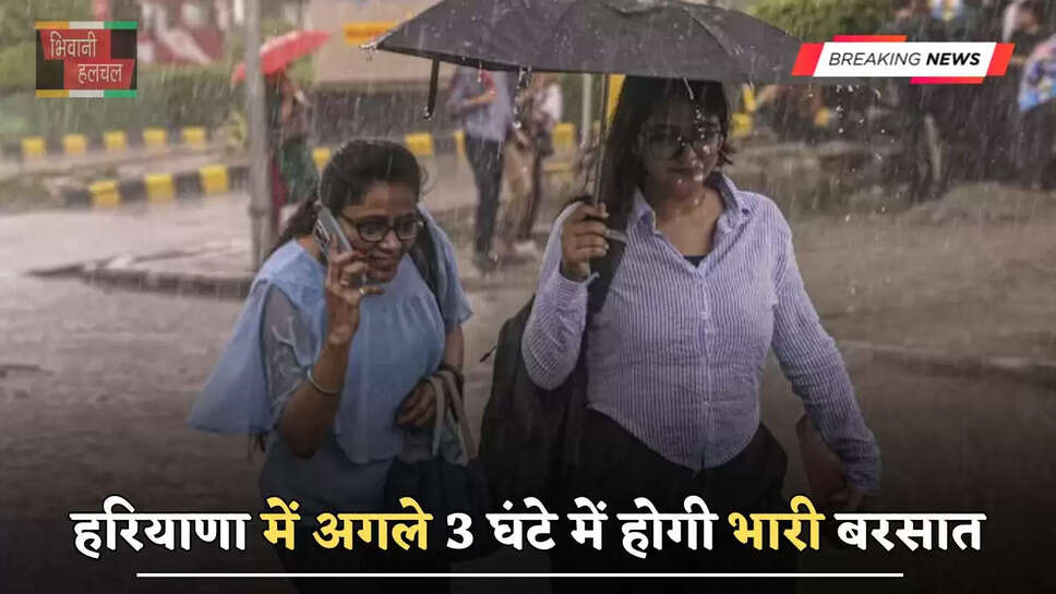 हरियाणा में इन जिला वासियों को मौसम विभाग की चेतावनी! अगले 3 घंटे में होगी भारी बरसात