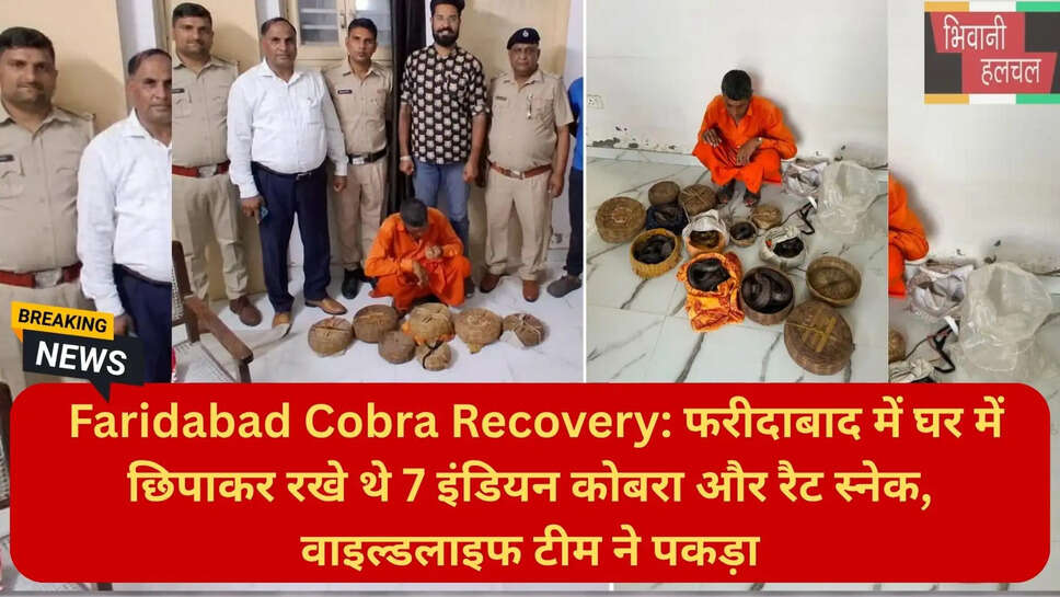 फरीदाबाद क्राइम न्यूज