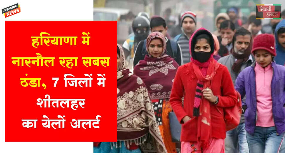 नारनौल रहा सबसे ठंडा, जिलों में शीतलहर का येलो अलर्ट