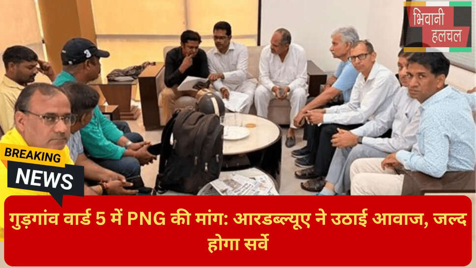 PNG Gas Benefits Gurgaon