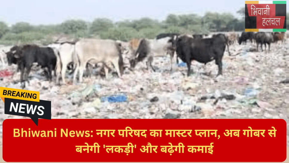 हरियाणा वेस्ट मैनेजमेंट न्यूज़