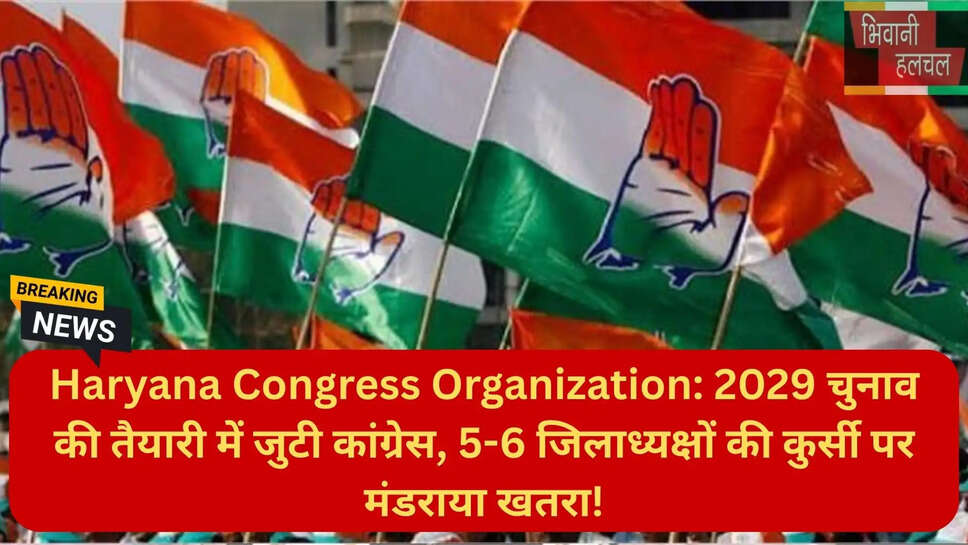 कांग्रेस 2029 विधानसभा चुनाव