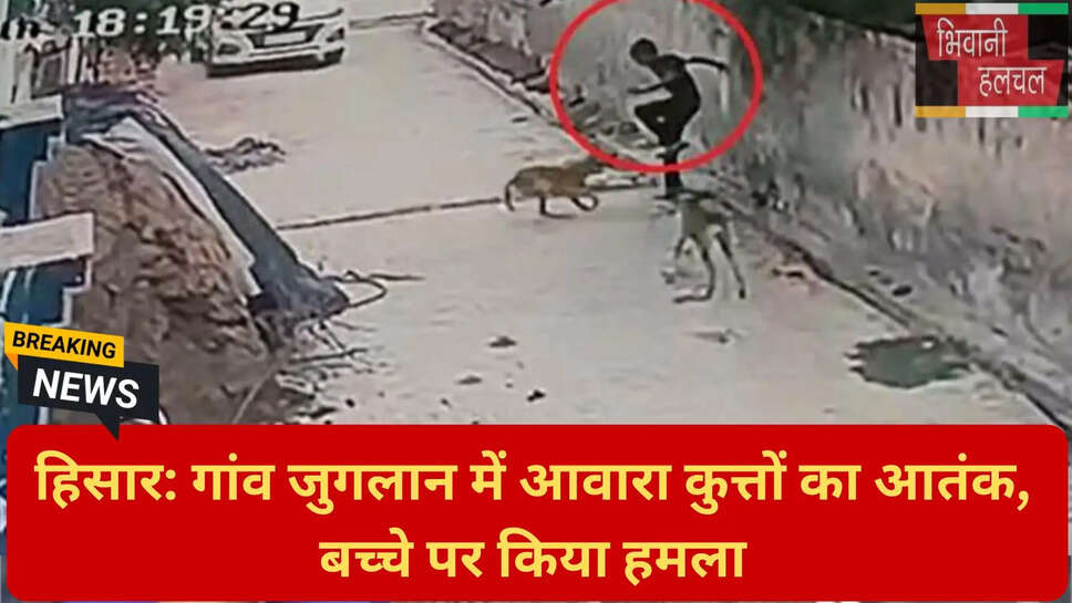 गांव में कुत्तों का खतरा