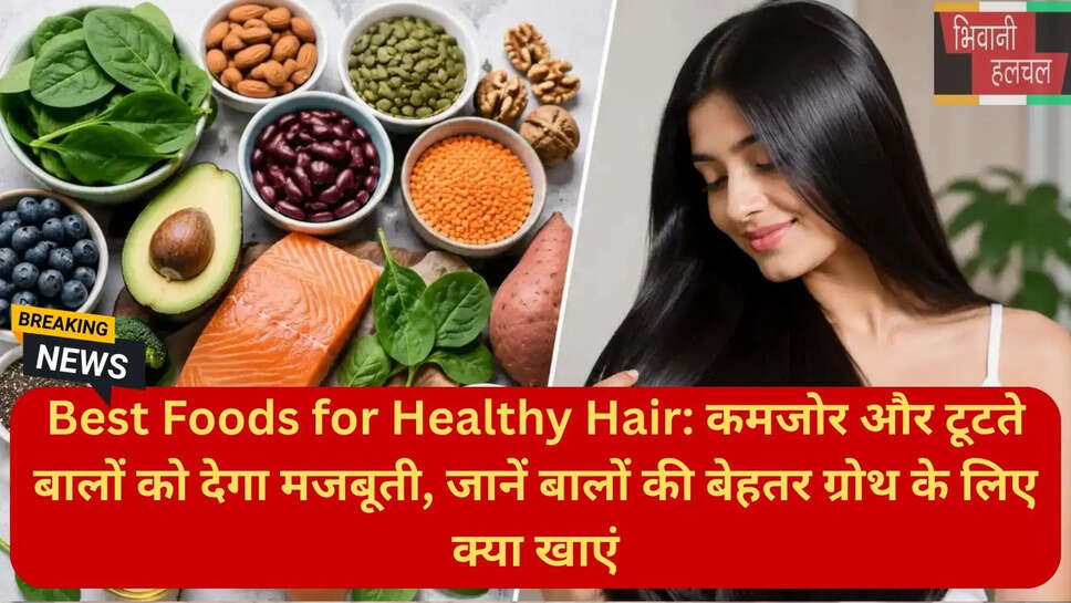 केराटिन और प्रोटीन युक्त आहार