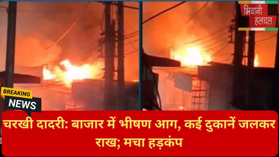 बैग हाउस आग