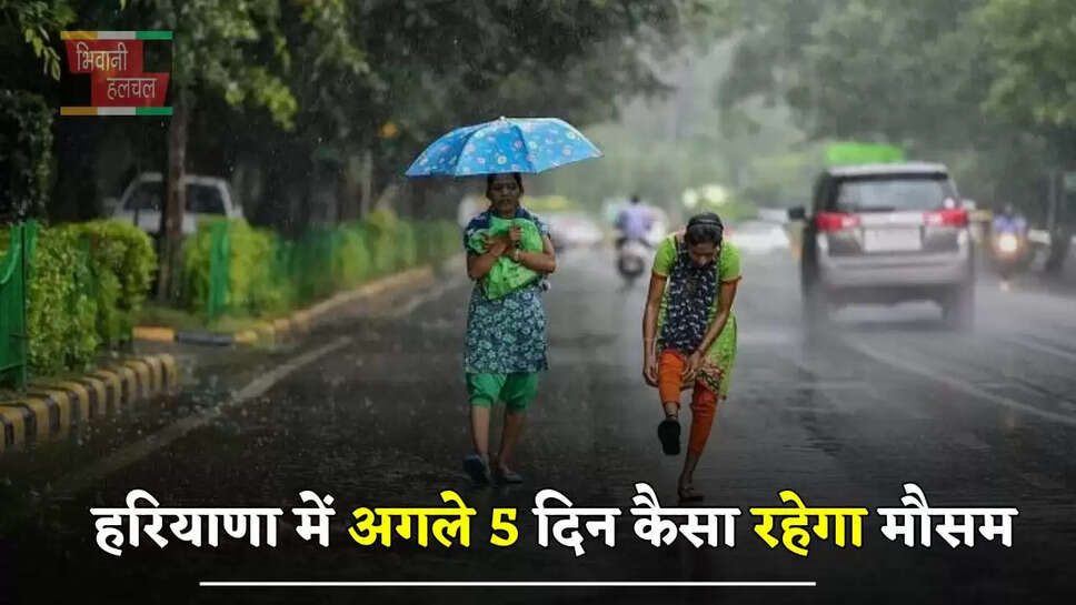 हरियाणा में अगले 5 दिन कैसा रहेगा मौसम, जाने विभाग का ताजा अपडेट&nbsp;