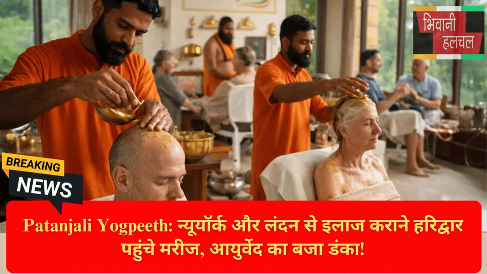 Patanjali Yogpeeth Reviews 2026