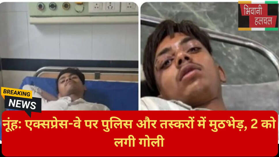 पशु क्रूरता अधिनियम मामला