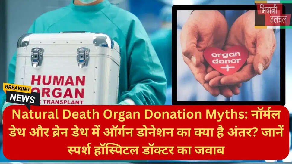 टिश्यू डोनेशन क्या है
