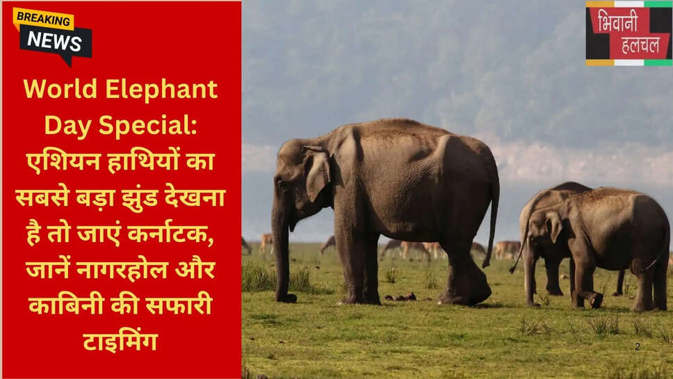 नागरहोल कब और कैसे जाएं