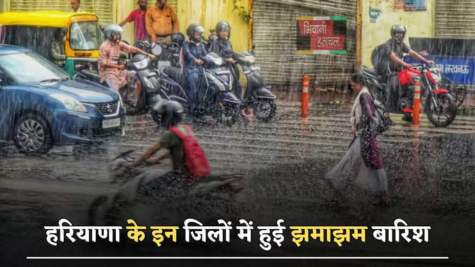 हरियाणा के इन जिलों में हुई झमाझम बारिश, जाने विभाग का ताजा अपडेट&nbsp;