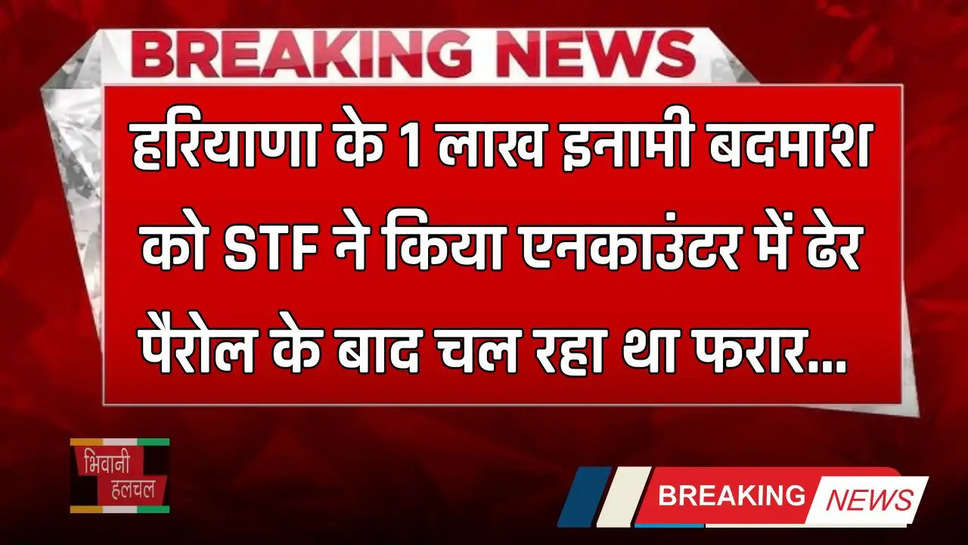 Haryana: हरियाणा के 1 लाख इनामी बदमाश को STF ने किया एनकाउंटर में ढेर, पैरोल के बाद चल रहा था फरार 