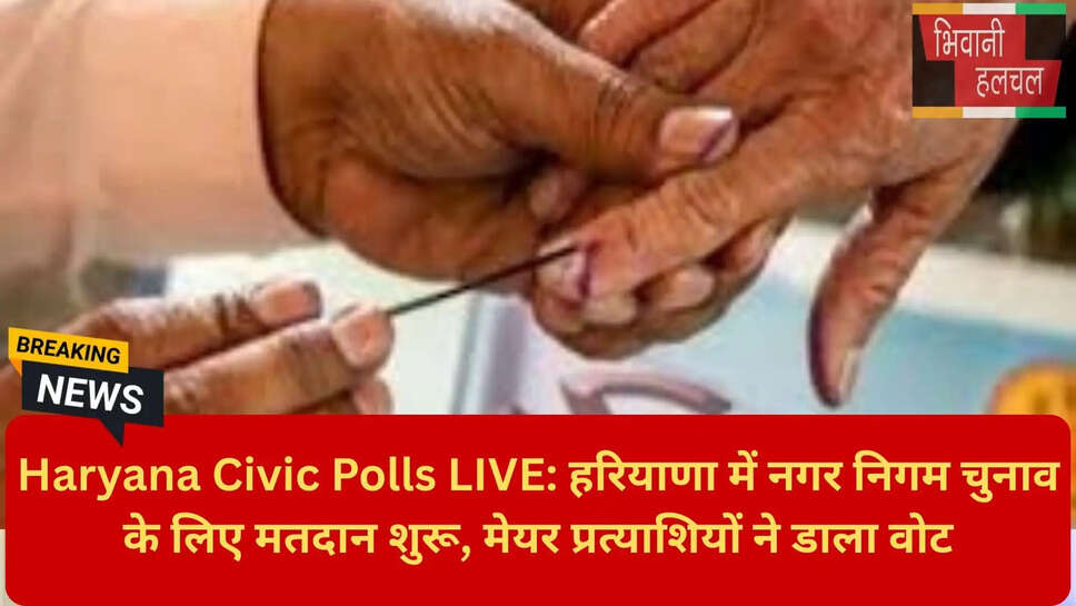 Voting Percentage Haryana Local Body Election