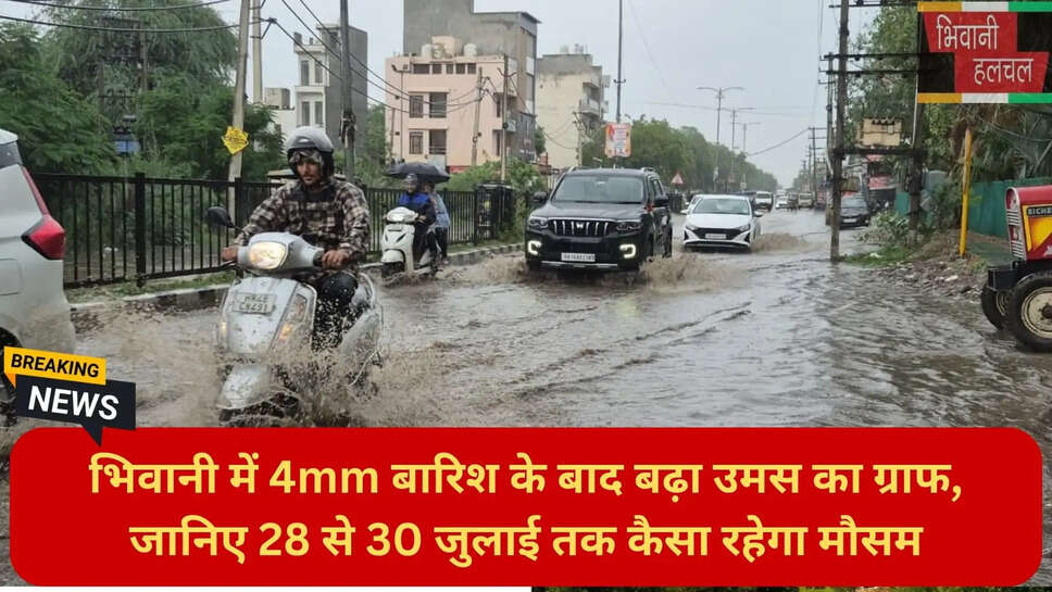 हरियाणा न्यूज हिंदी