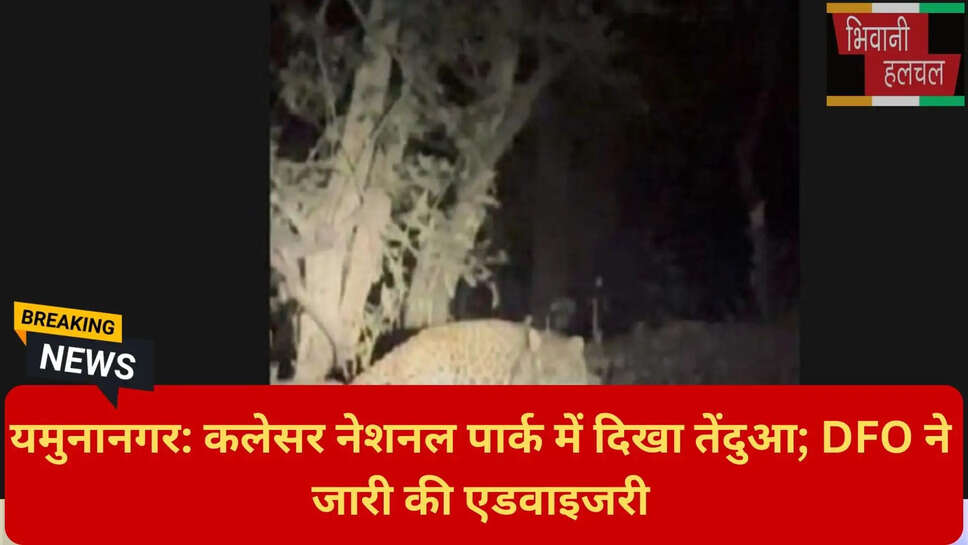 वन्यजीव सुरक्षा निर्देश