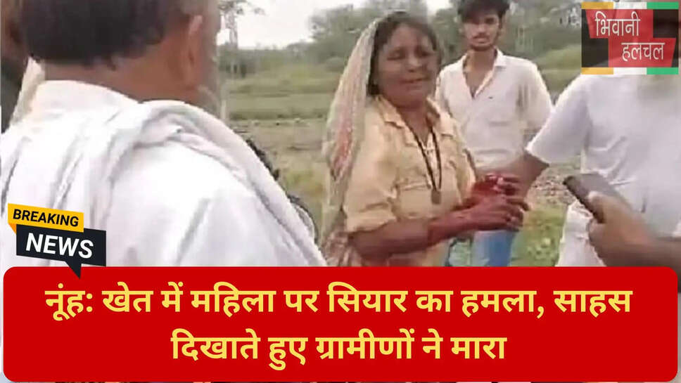 वन्यजीव हमला नूंह