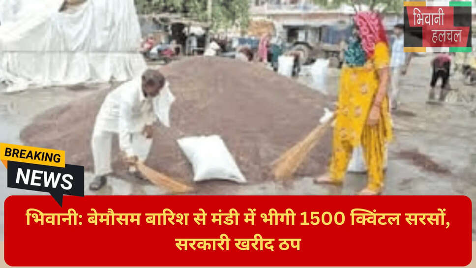 किसान फसल नुकसान हरियाणा