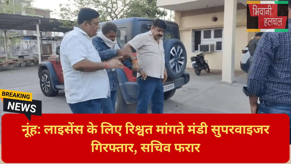 अनाज मंडी भ्रष्टाचार न्यूज़