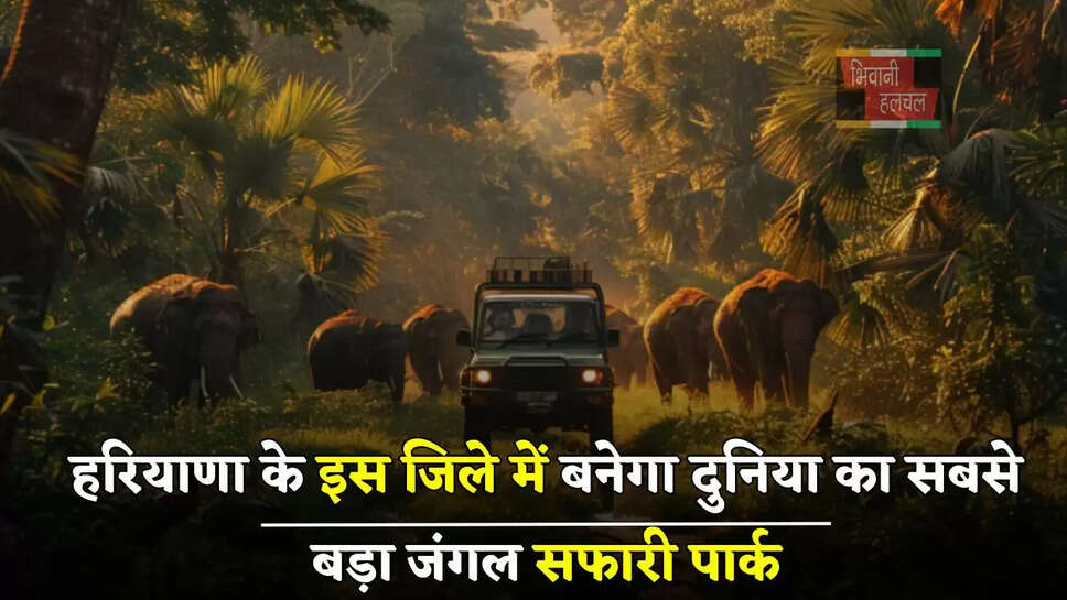  हरियाणा के इस जिले में बनेगा दुनिया का सबसे बड़ा जंगल सफारी पार्क, जाने क्या होगा इसमें खास ?
