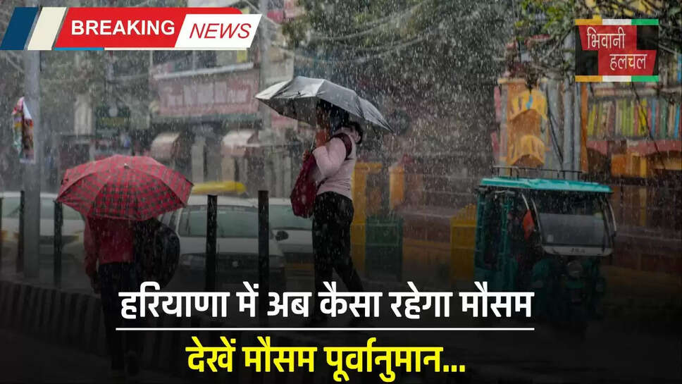 Haryana Weather Alert: हरियाणा में अब कैसा रहेगा मौसम, देखें मौसम पूर्वानुमान