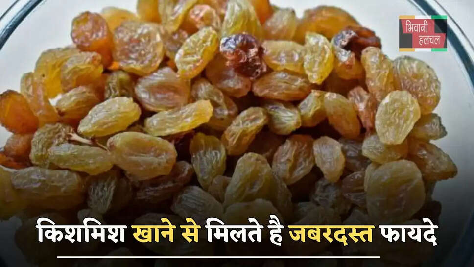 किशमिश खाने से मिलते है जबरदस्त फायदे, ये सभी रोग होते हैं जड़ से खत्म ?