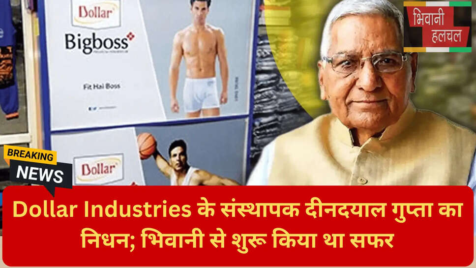 डॉलर इंडस्ट्रीज टर्नओवर