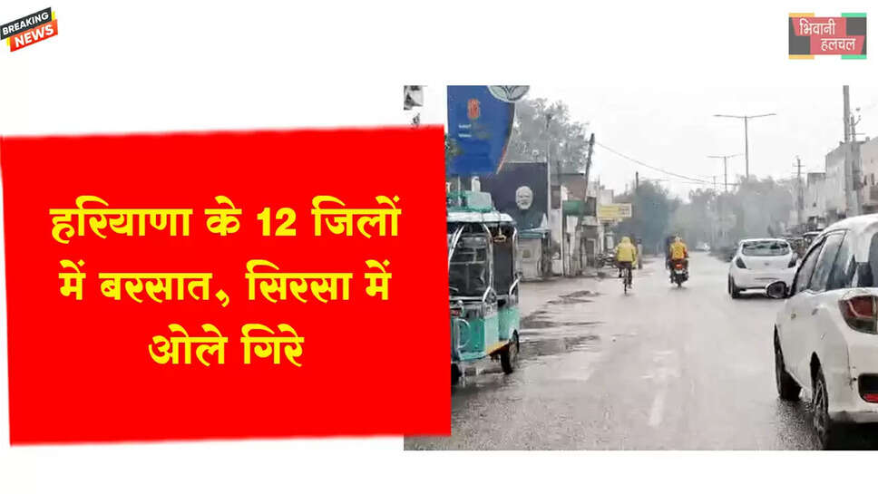 हरियाणा के 12 जिलों में तेज गरज के साथ बारिश&nbsp;