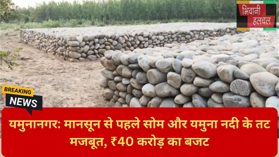 यमुना नदी जलभराव प्रबंधन