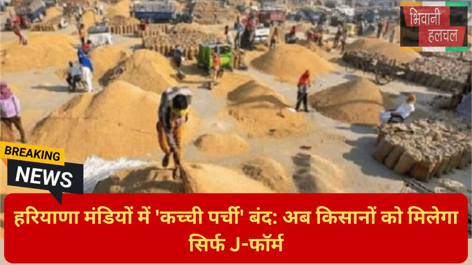 हरियाणा कृषि विपणन बोर्ड निर्देश