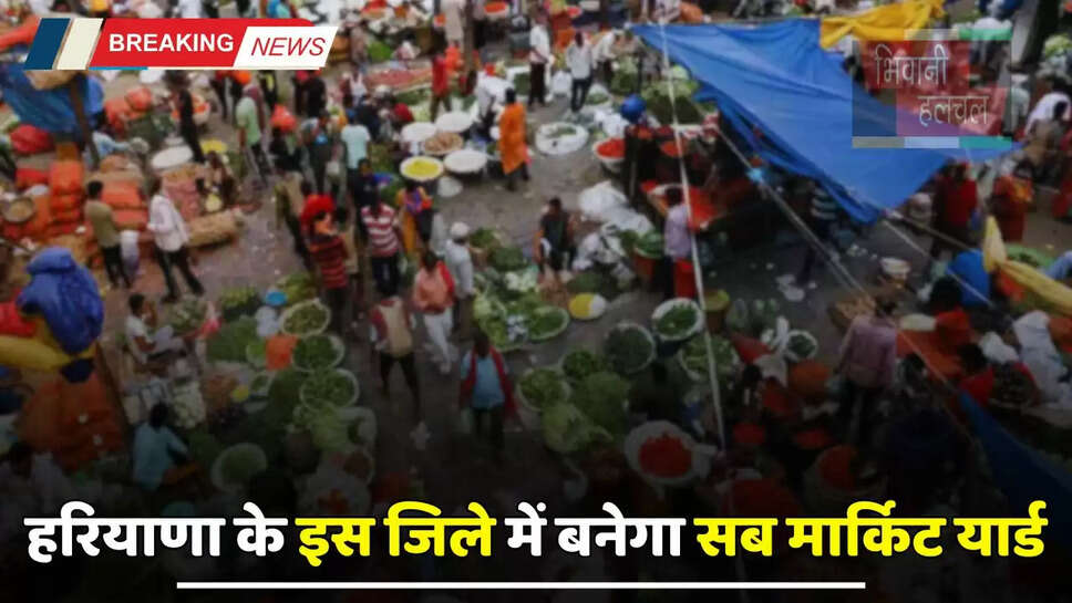 Haryana: हरियाणा के इस जिले में बनेगा सब मार्किट यार्ड, इन किसानों को मिलेगा फायदा