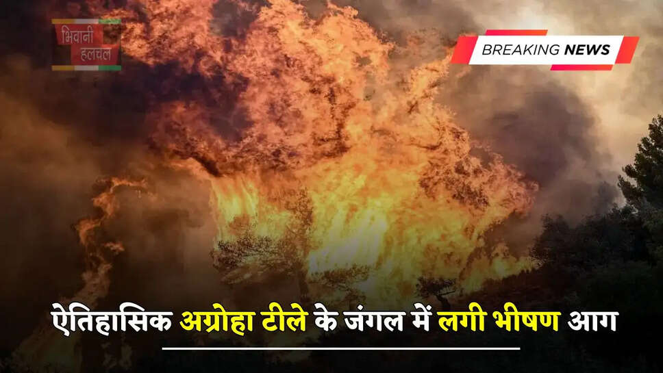 हरियाणा में ऐतिहासिक अग्रोहा टीले के जंगल में लगी भीषण आग, 45 दिन से पुरातत्व विभाग कर रहा खुदाई