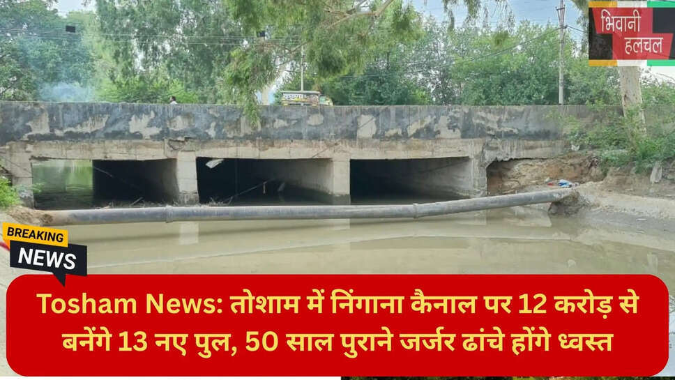 तोशाम विकास कार्य
