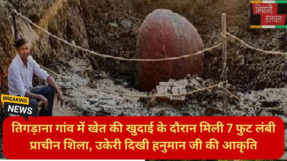 हरियाणा न्यूज