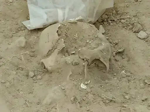 अग्रोहा टीले के जंगल में लगी भीषण आग