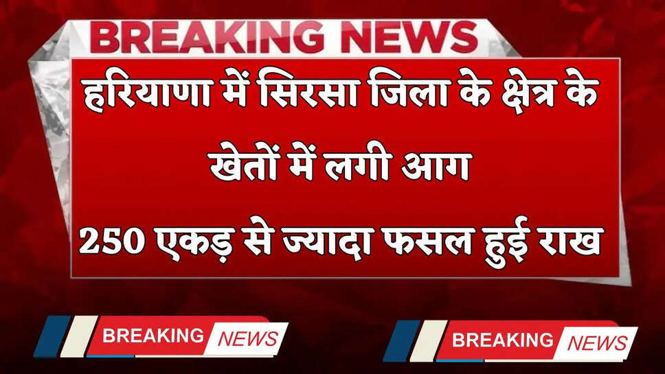 Sirsa News: हरियाणा में सिरसा जिला के क्षेत्र के खेतों में लगी आग, 250 एकड़ से ज्यादा फसल हुई राख