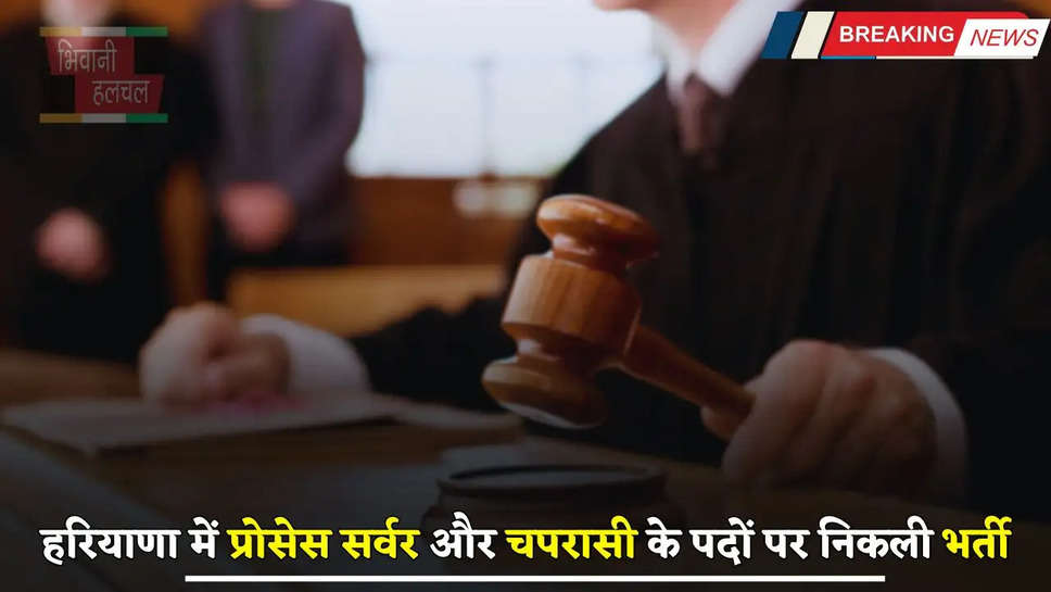 Court Jobs: हरियाणा में प्रोसेस सर्वर और चपरासी के पदों पर निकली भर्ती, जल्दी करें आवेदन 