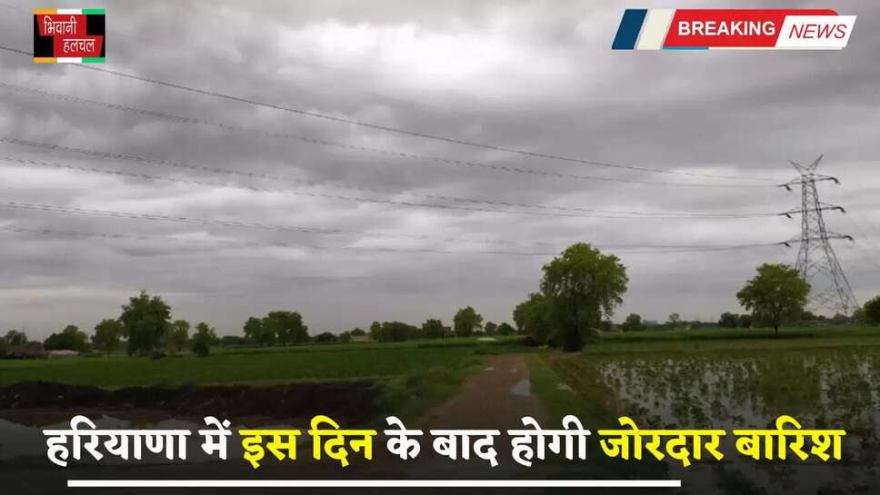 Haryana Weather: हरियाणा में फिर एक्टिव होगा पश्चिमी विक्षोभ, इस दिन के बाद होगी जोरदार बारिश&nbsp;