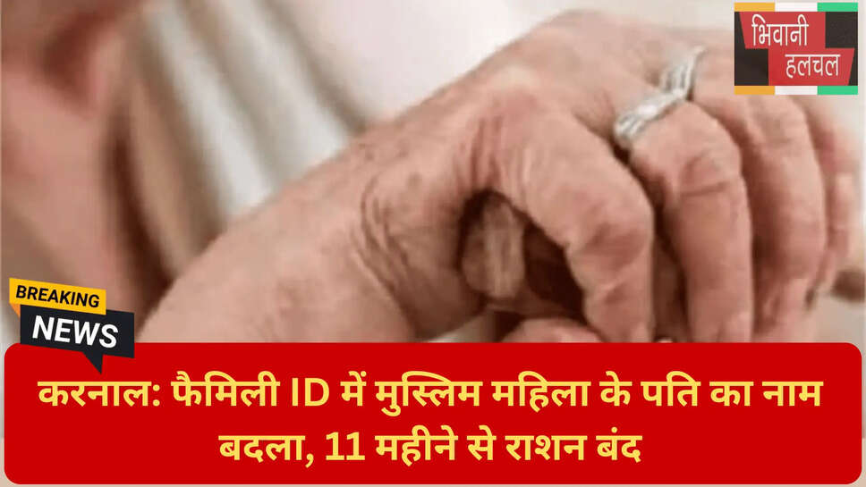 PPP ID Correction Online