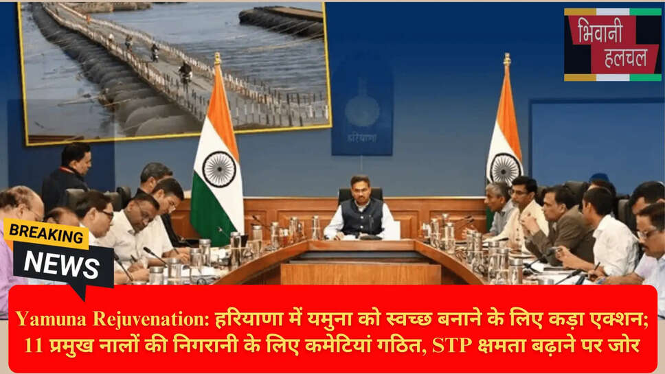 यमुना नदी के नाले