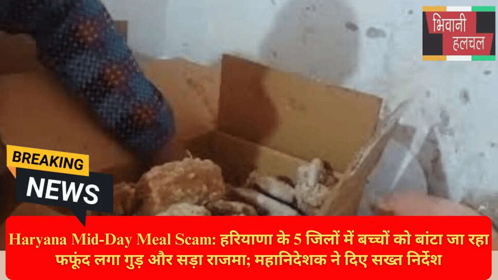 मौलिक शिक्षा महानिदेशक हरियाणा