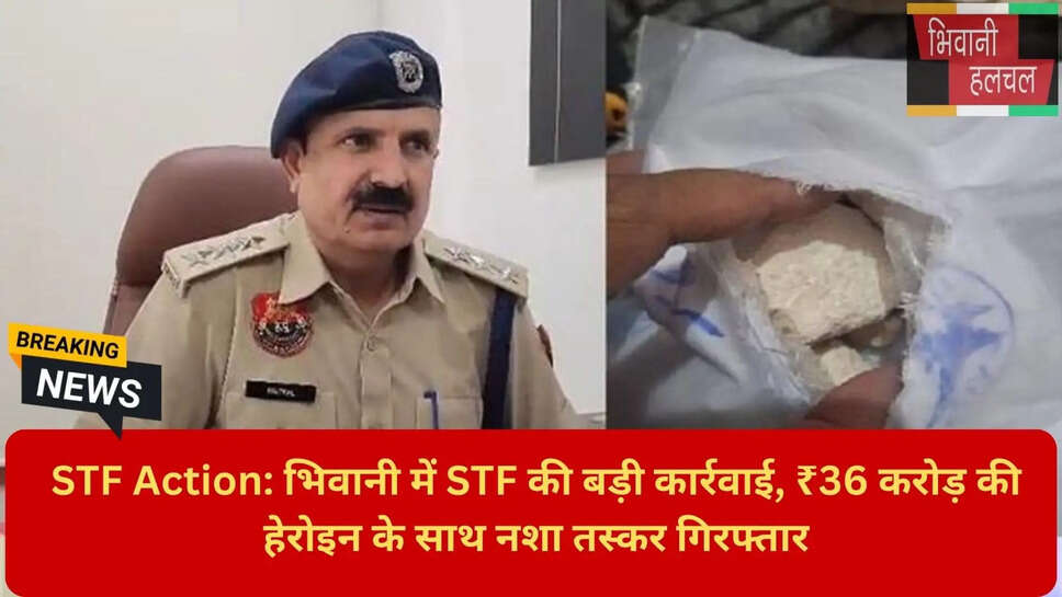 पंजाब हरियाणा ड्रग्स सप्लाई चेन