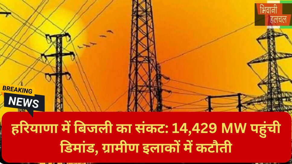 मानसून और बिजली