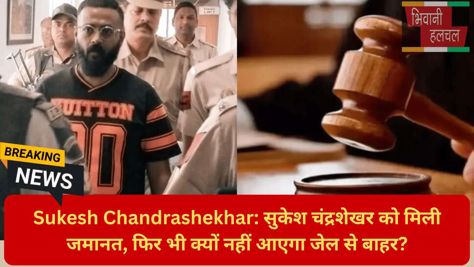 ईडी सुकेश चंद्रशेखर केस