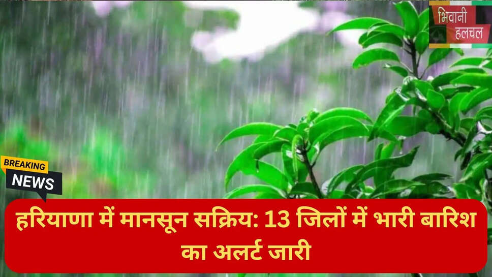 Haryana rain update today