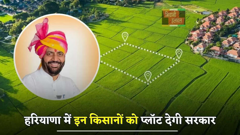 हरियाणा में इन किसानों को प्लॉट देगी सरकार, बस करना होगा ये काम&nbsp;