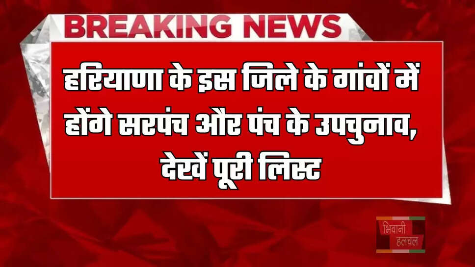 हरियाणा के इस जिले के गांवों में होंगे सरपंच और पंच के उपचुनाव, देखें पूरी लिस्ट