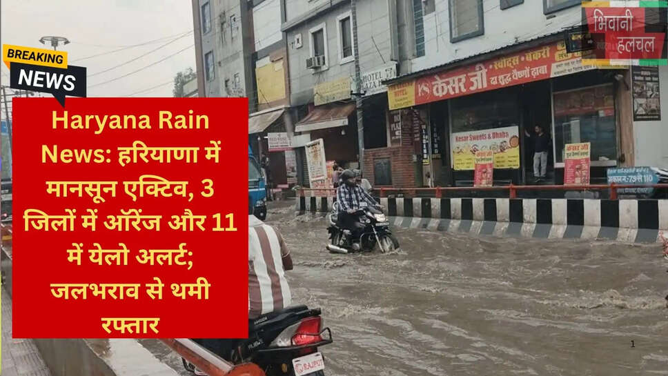 हरियाणा समाचार