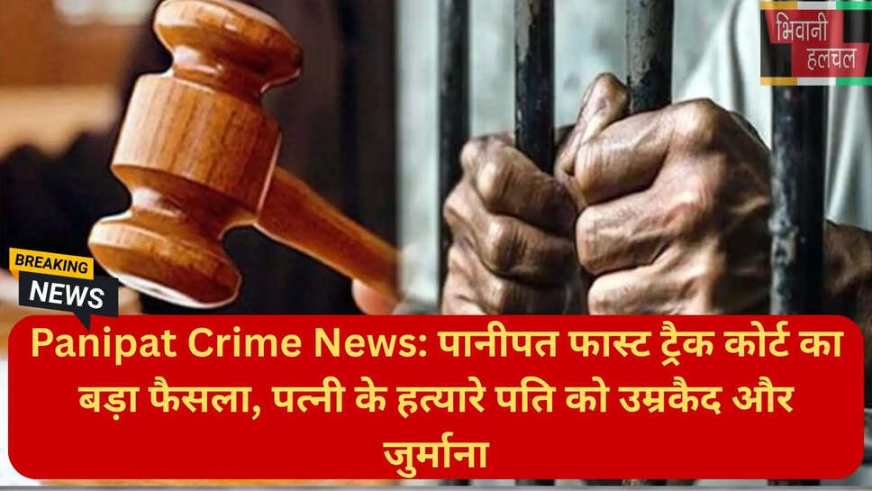 हरियाणा क्राइम न्यूज