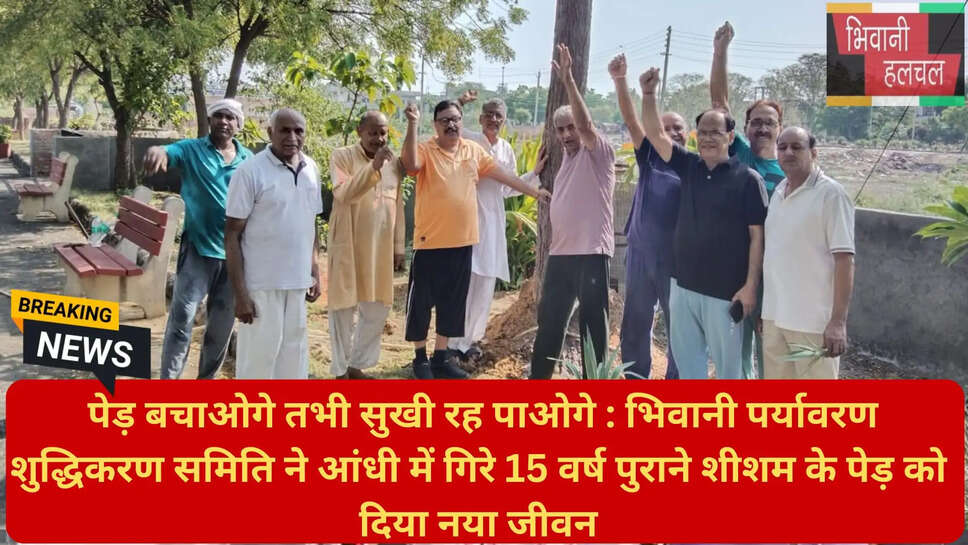 पर्यावरण संरक्षण मिसाल