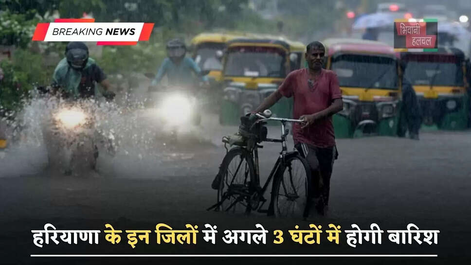हरियाणा के इन जिलों में अगले 3 घंटों में होगी बारिश, जाने विभाग का&nbsp;ताजा अपडेट